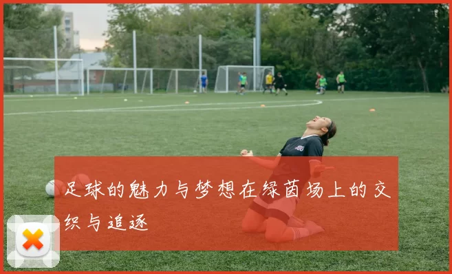 足球的魅力与梦想在绿茵场上的交织与追逐